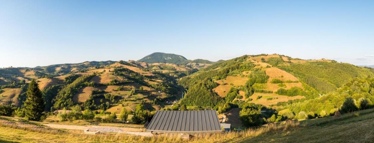 Casuta Din Valea Iepii Holiday home *
