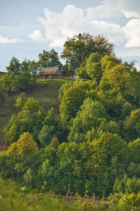 Holiday home Casuta Din Valea Iepii *