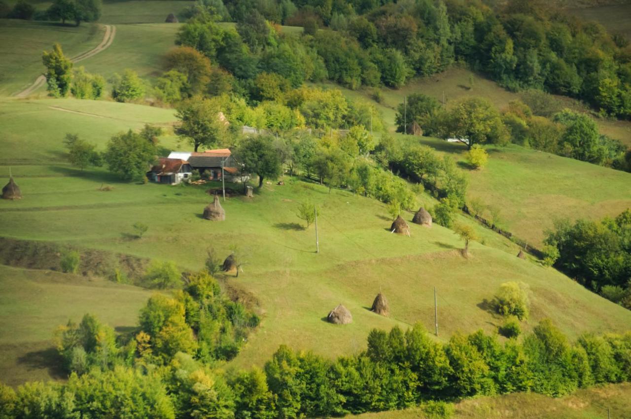 Casuta Din Valea Iepii Holiday home Holbav