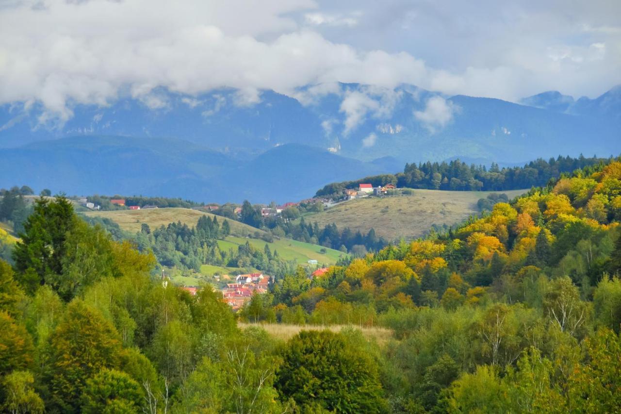 Casuta Din Valea Iepii *
