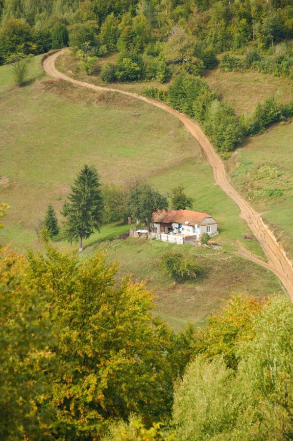 Casuta Din Valea Iepii * Holbav
