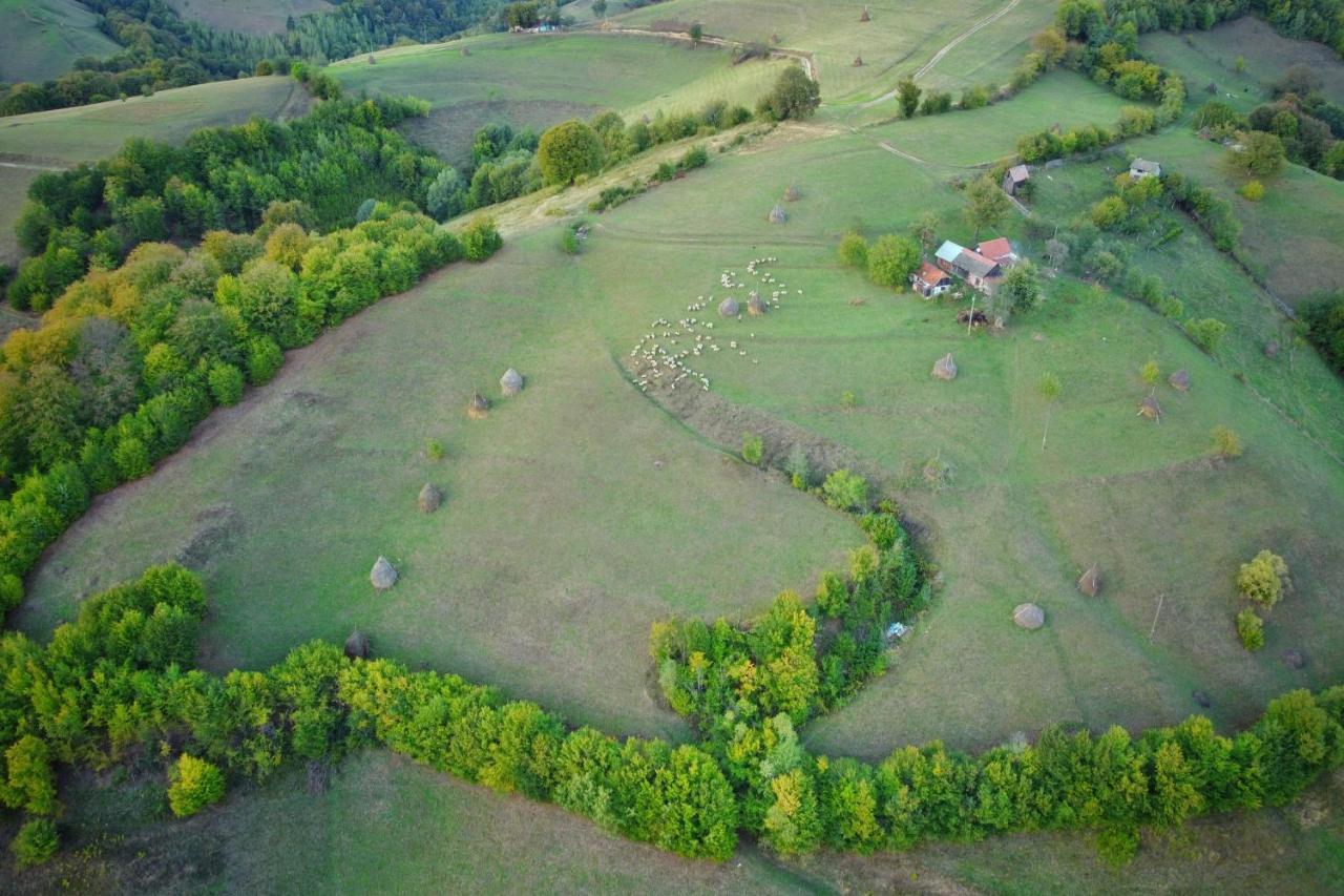 Casuta Din Valea Iepii Holiday home