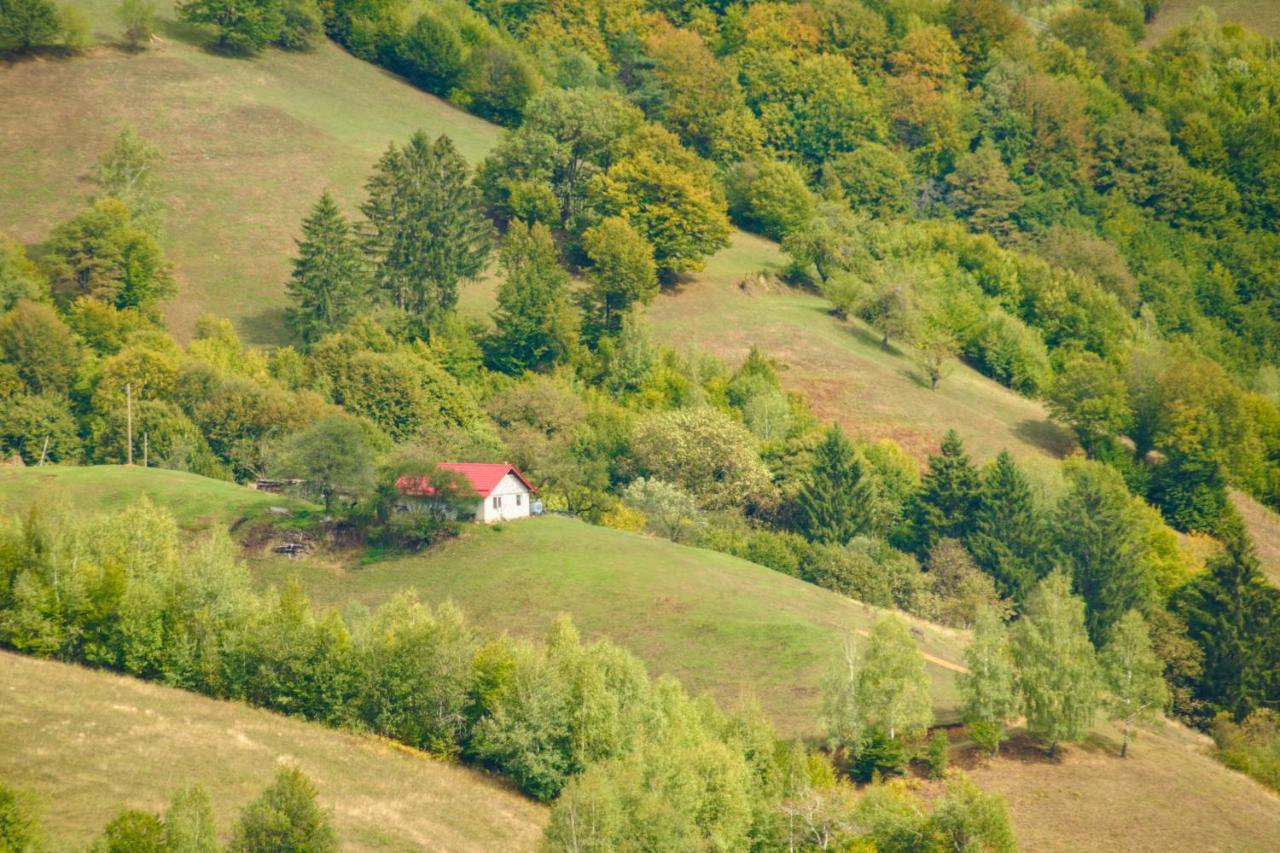 Holiday home Casuta Din Valea Iepii *