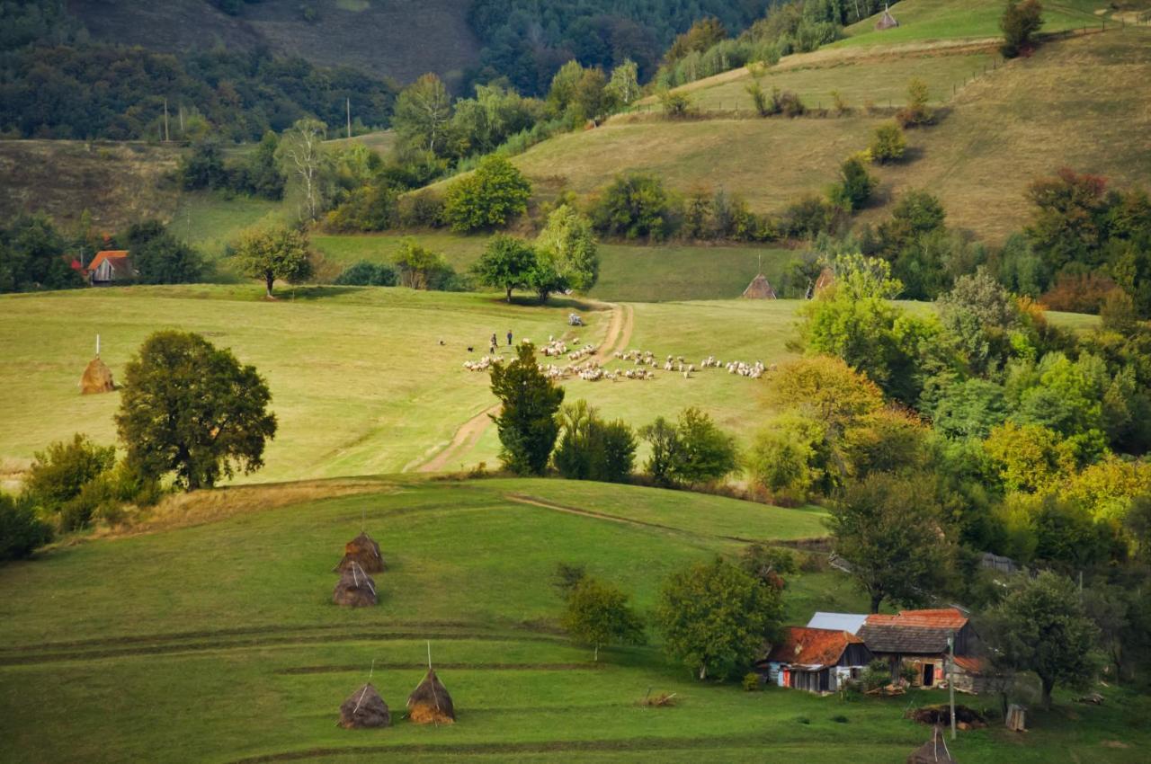 Holiday home Casuta Din Valea Iepii Holbav