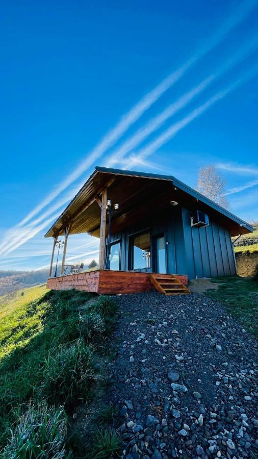 Casuta Din Valea Iepii Holiday home Holbav