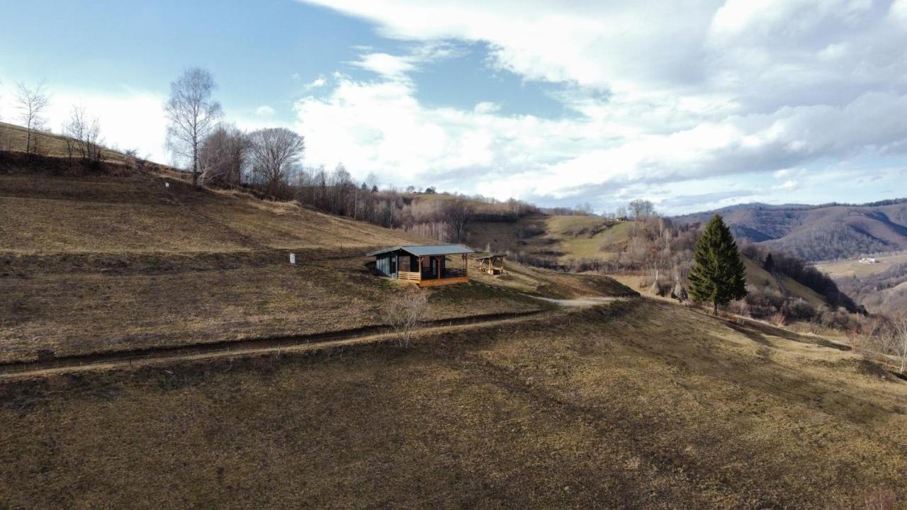 Holiday home Casuta Din Valea Iepii *